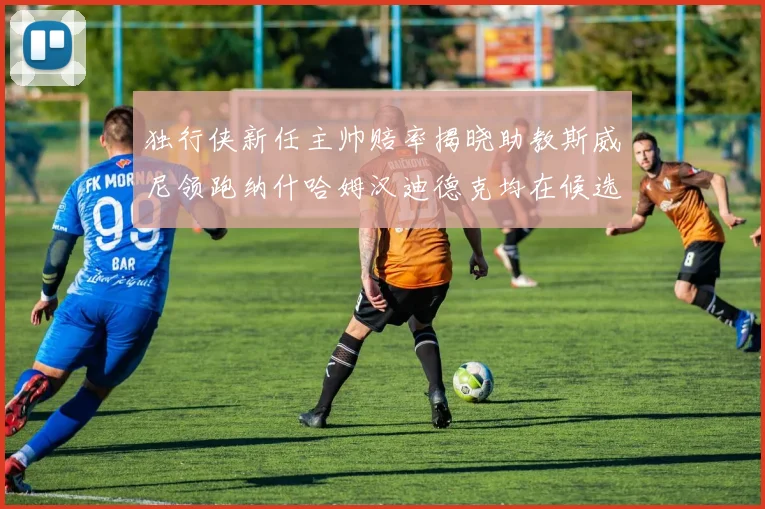独行侠新任主帅赔率揭晓助教斯威尼领跑纳什哈姆汉迪德克均在候选之中